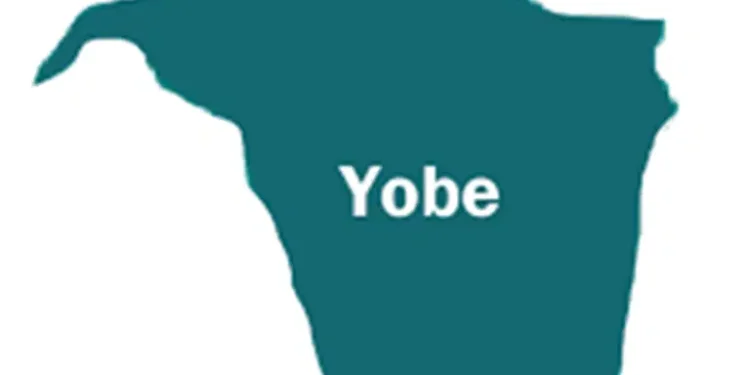 Soldiers Catch Four Suspected Boko Haram Members for Yobe Night Operation!