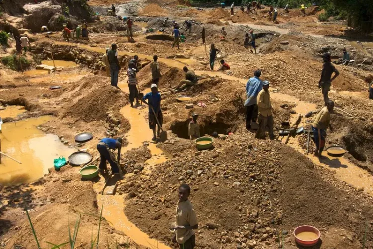 MSA Don Call for Government Make Dem Arrest Big Men Wey Dey Make Money From Illegal Mining!