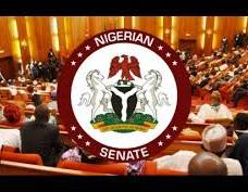 For 2027 senate race, 123 women join 1,303 pipo wey dey fight for Nigeria 109 senate seats.