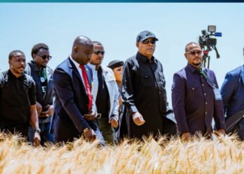 Nigeria Eyes Ethiopia’s Farming Model to Boost Food Security