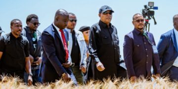 Nigeria Eyes Ethiopia’s Farming Model to Boost Food Security