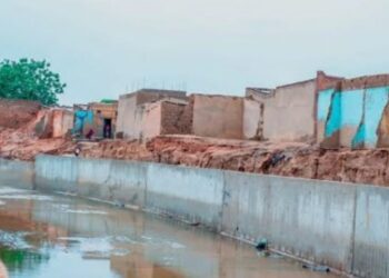 Arewa Revival Project Backs Tinubu’s Re-Election, Cites Kano Irrigation Projects