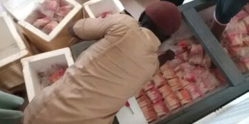 Bida Council Shuts Ice Cream Factories Over Hygiene Violations, Missing Licences.