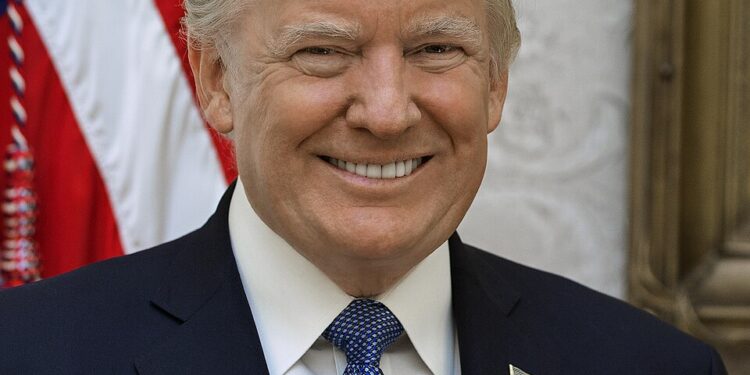 Official portrait of President Donald J. Trump, Friday, October 6, 2017. (Official White House photo by Shealah Craighead)