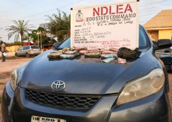 NDLEA Arrests 42 Suspects, Seizes 9,520kg of Narcotics in Edo