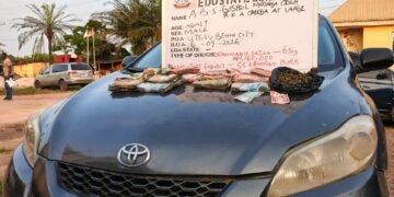 NDLEA Arrests 42 Suspects, Seizes 9,520kg of Narcotics in Edo