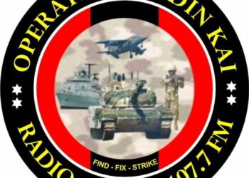 Troops Kill 16 Suspected ISWAP Fighters in South Lake Chad Strikes