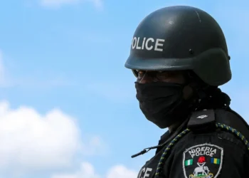 Ekiti, Anambra, Benue, Two Other States Approve State Police Bill