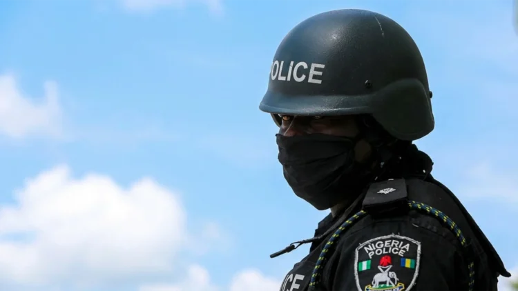 Ekiti, Anambra, Benue, Two Other States Approve State Police Bill
