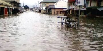 Flood kills 1,400 birds, destroys mill in Enwan as Edo remains on NIHSA’s flood list.