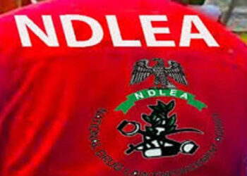 NDLEA Seizes ₦6.98bn Tramadol Shipment, Intercepts Saudi Bound Cannabis in Kano.