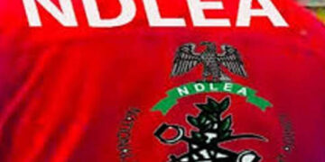 NDLEA Seizes ₦6.98bn Tramadol Shipment, Intercepts Saudi Bound Cannabis in Kano.