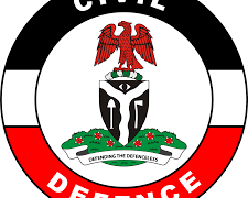 NSCDC Arrests Suspected Cable Vandal, Recovers Four Bags of Electricity Conductors in Kano.