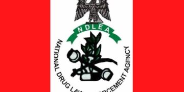 NDLEA Warns Nigerian Exporters of Jail Terms, Reputational Damage Over Illicit Drugs in Shipments.