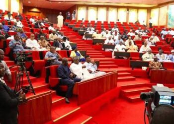 Benue Killings: Senate Demands Security Overhaul After 113 Deaths, Orders Urgent Investigation.