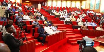 Benue Killings: Senate Demands Security Overhaul After 113 Deaths, Orders Urgent Investigation.