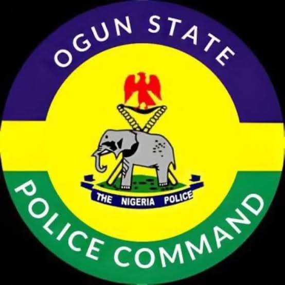 Ogun Police Arrest 21 Year Old Butcher Over Fatal Stabbing of Colleague in Alagbole.