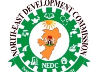 NEDC Seeks Stakeholders’ Support for Electric Mobility in Taraba